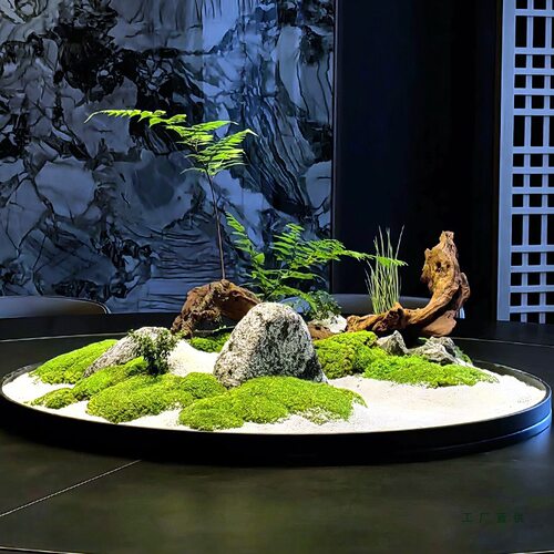 酒店餐桌转盘摆件永生苔藓中间摆花微景观装饰花/美空211