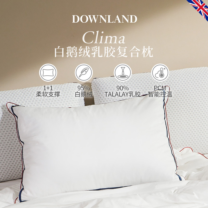 DOWNLAND 95白鹅绒乳胶枕头护颈枕助睡眠枕羽绒枕鹅绒枕芯枕头芯