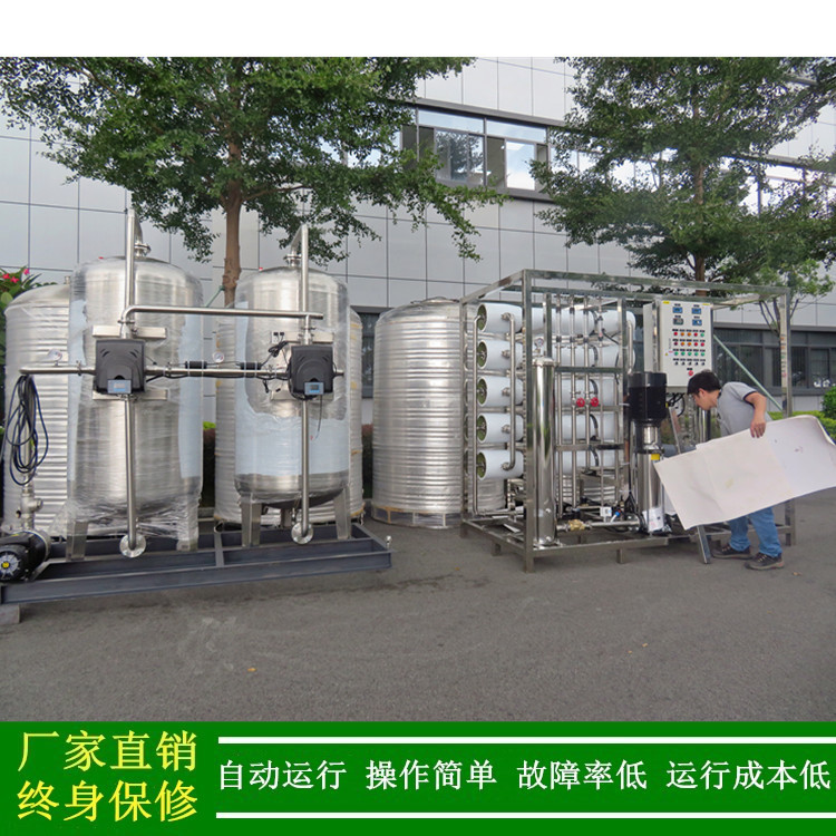绿健10吨双级反渗透EDI超纯水