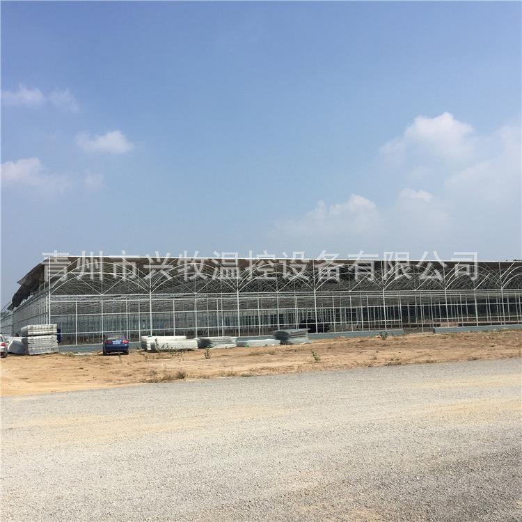 高温菜棚高温花棚温室花房工程热镀锌管材支架建筑详询