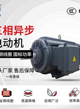 4极三相异步电动机YE3-315S/M/L1/L2-4工业电机110W-200W马达