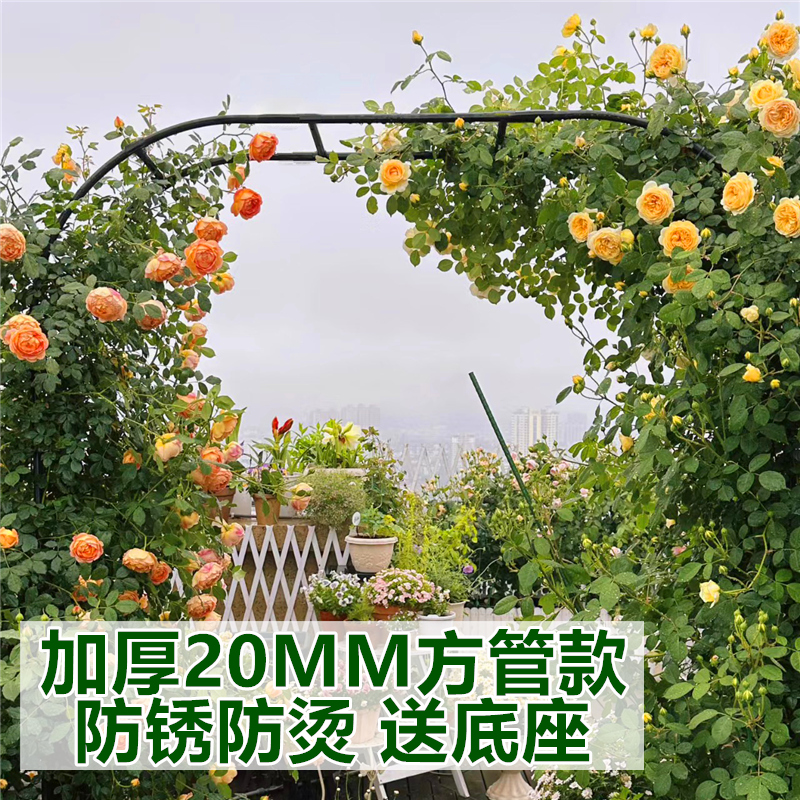 加厚20MM方管拱门爬藤花架藤本月季蔷薇攀爬架子T户外庭院葡萄架