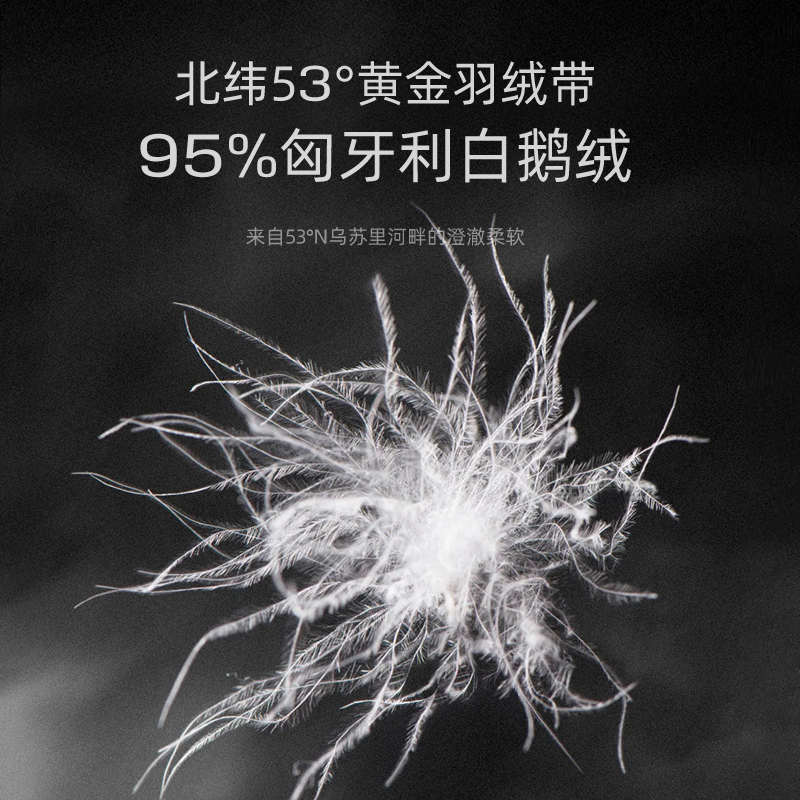 SpaceX枕头95鹅绒枕分区枕护颈椎助睡眠侧睡羽绒枕枕芯护颈椎抗