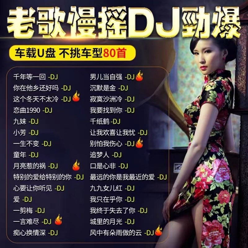速发老歌DJ车载音乐精选成名金曲全dj百听不腻老歌网红新唱无损MP