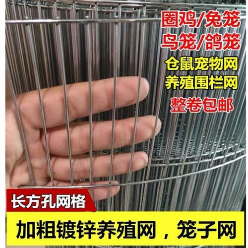 速发鸟笼网鹌鹑网养殖鸽子网网焊网巻养鸡网家用兔锌镀笼铁丝电鹦
