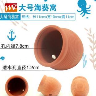 速发嘴.奶.巢海葵窝小海鱼躲避罐丑葵家地毯奶嘴窝防跑珊瑚罐海水