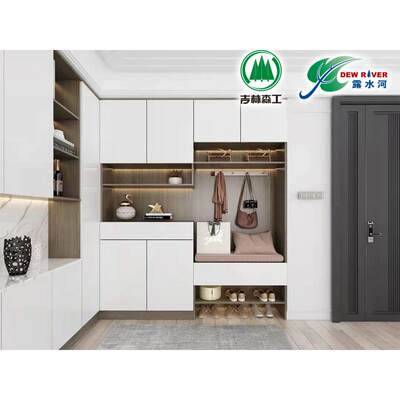 郑州露水河板材定制鞋柜现代简约门厅柜阳台储物柜玄关柜全屋定制