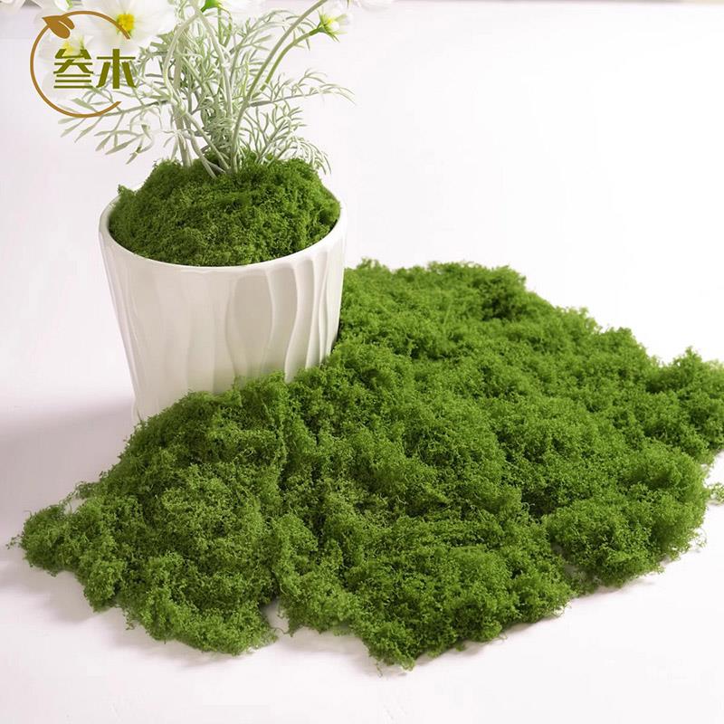 仿真苔藓造景假青苔毛线草皮绿植微景观植物装饰人造仿生草坪石头