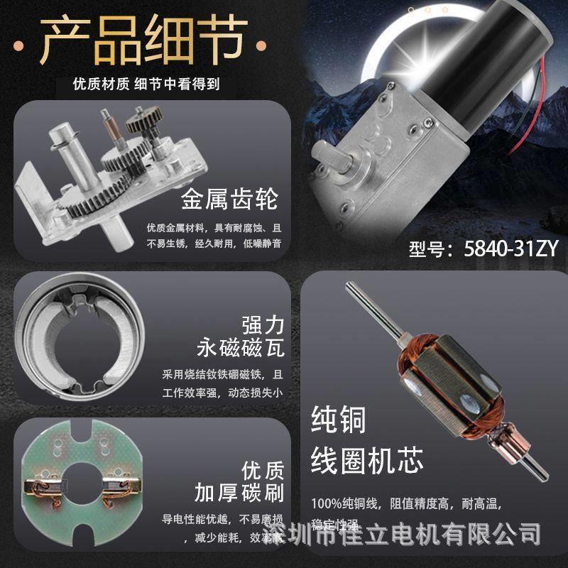 20205840-131ZY直流涡轮蜗杆减速电机大扭矩vv24微小型调速低2速