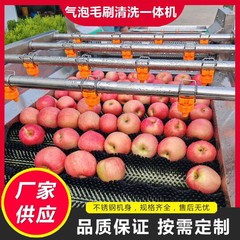 全自动苹果洗果机甜橙沃柑气泡清洗机水果气泡毛刷清洗一体机