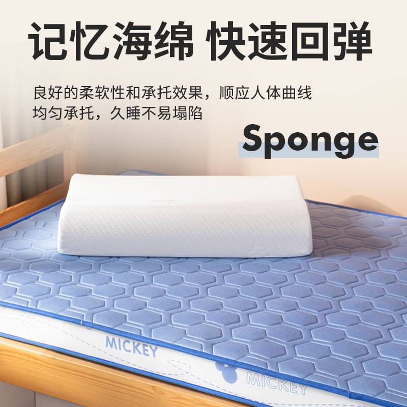 乳胶软垫家用新款A类卡通乳胶记忆海绵针织立体乳胶床垫学生床垫