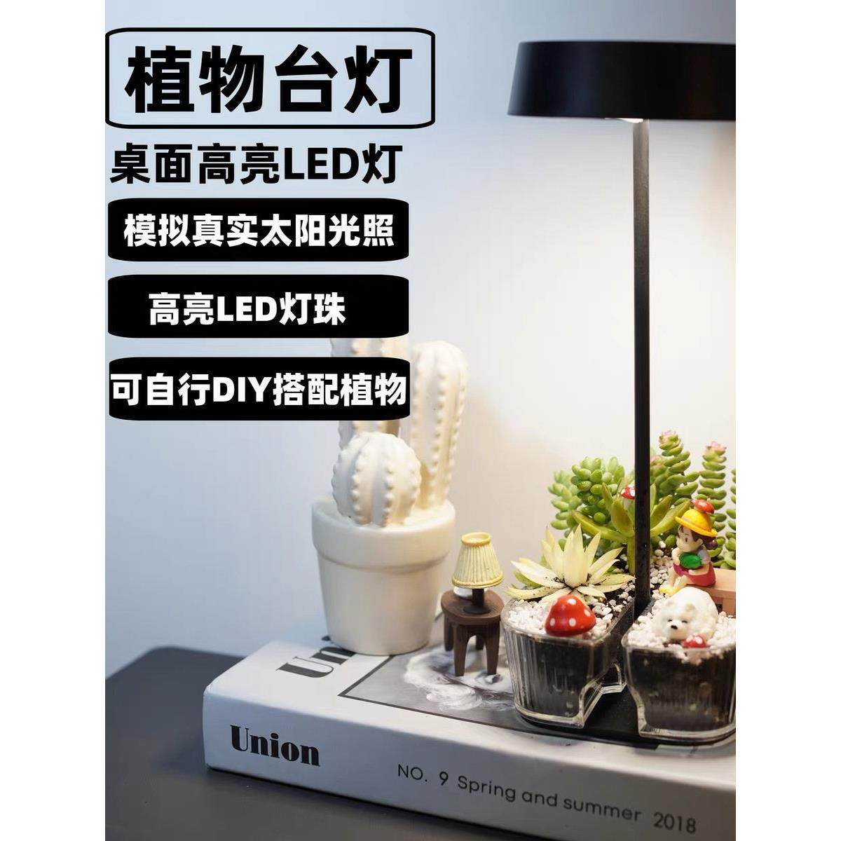 桌面高亮度Led灯可与植物装饰台灯DIY,家装灯饰光源,装饰台灯,淘宝优惠券,粉丝福利购,淘宝优惠卷