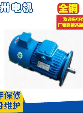 变频电机YVP160m1-2YVF160m2-2YTP160l-2YZP160L-6YTSP160L-6