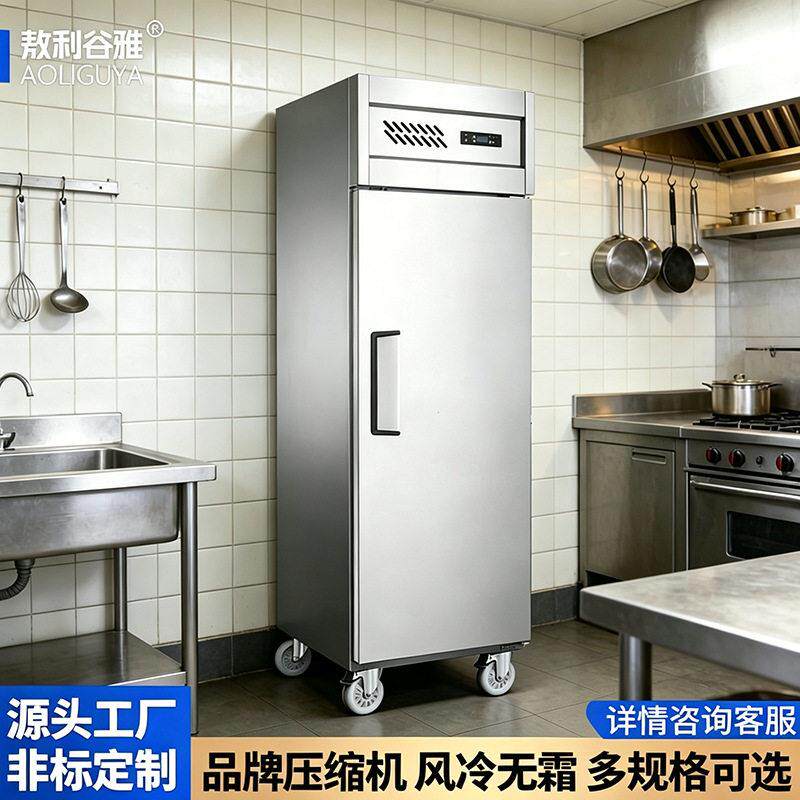 门身柜冰箱厨房餐饮立式冷藏冷冻冰柜不锈钢立式商用冷冻冰柜