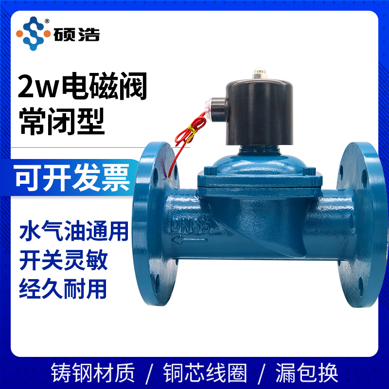 铸钢法兰电磁阀220V24V水阀 ZCS 1.0MPa 放水开关电动80阀门DN100