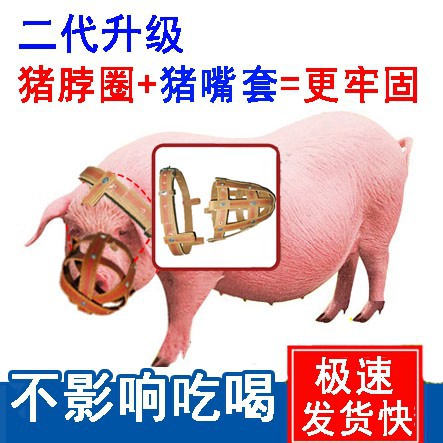 猪嘴套母猪防咬套仔猪神器防咬母猪嘴套马牛羊防吃东西猪用专用