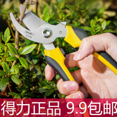 得力工具剪枝修枝剪刀果树园林园艺剪修剪树枝花艺剪省力大粗枝剪