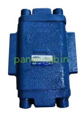 上海液压件一厂液控单向阀DFY-F50H2/H1，A1Y-Hb50F/SDFY-F50H2