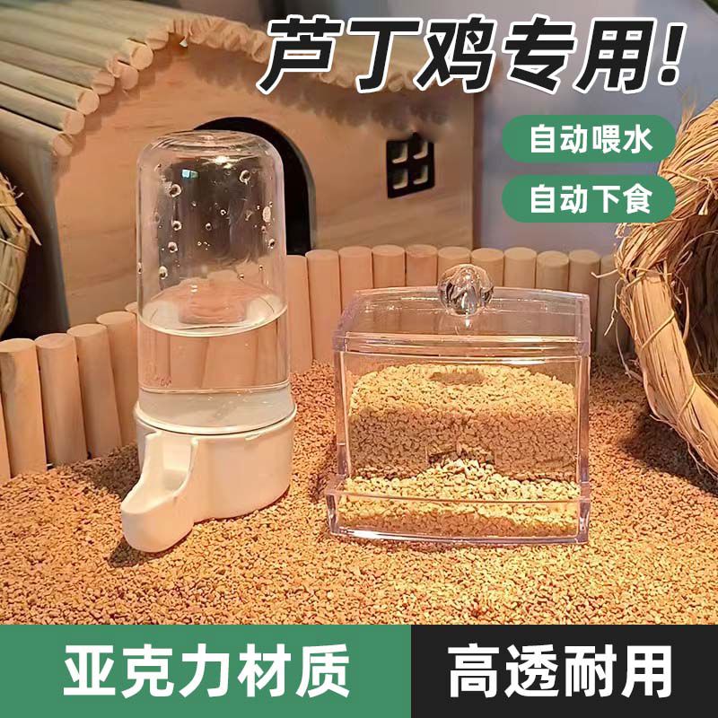 芦丁鸡喂食器饲料盒小鸡鹦鹉水槽水壶喂水饮水喝水台用自动专用