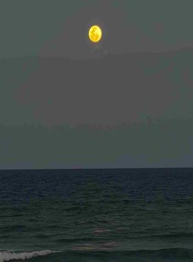 诺基亚+AQQQA+AEQK+AEUD+AHLOA+AHLB议价