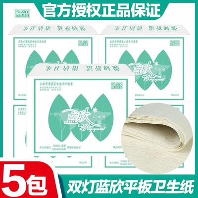 双灯蓝欣卫生纸精品450家用厕纸家庭实惠5包平板厕所方块老式草纸