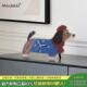 Mandelda小狗创意钟表摆放式 客厅电视柜摆画桌面座钟装 饰品摆件