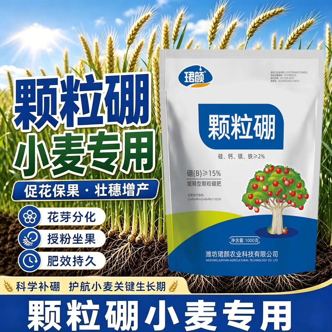 珺颜颗粒硼小麦缓释型颗粒硼肥