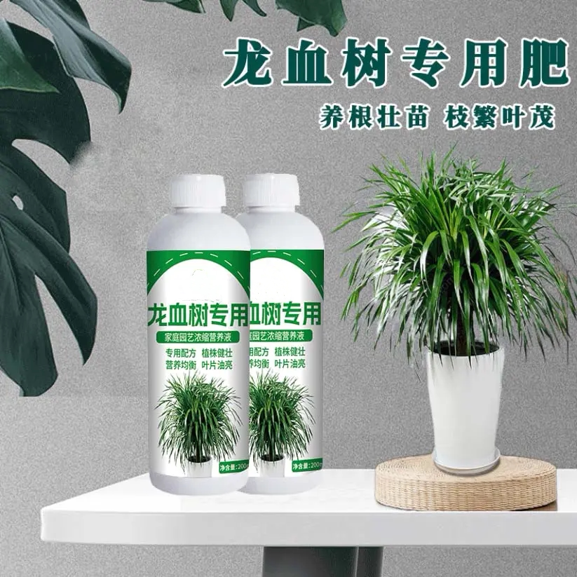 龙血树专用肥家庭园艺浓缩营养液