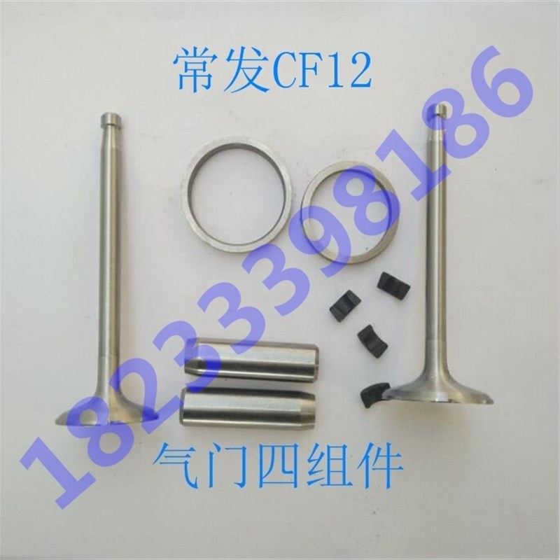 单缸水冷柴油机 常柴L12/常发CF192/CFZ12气门四配套 气门组件