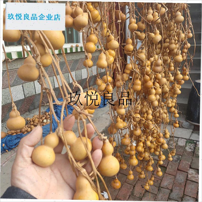 富强葫芦天然连枝连藤客厅门口茶室F挂件手捻八宝蚂蚁三亭小天津,