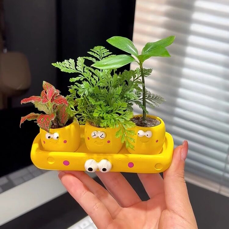 情绪稳定花盆女迷你可爱芝士奶酪客厅办公室工位绿植桌面摆件装饰
