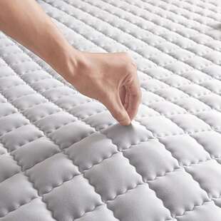 床垫家用卧室1米5租房专用隔脏垫防滑垫褥90x190床垫子a类母婴级