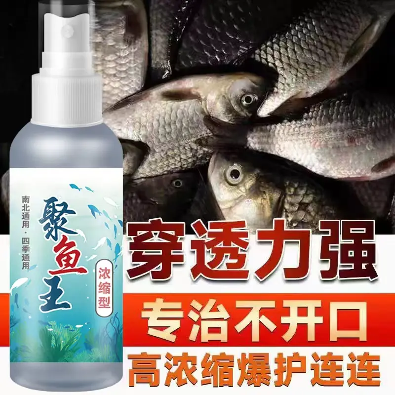 聚鱼王浓缩型钓鱼饵料四季通用
