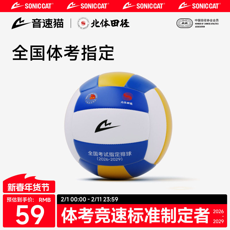 北体共研丨音速猫排球初中中考专用装备正品比赛青少年训练充气球