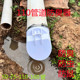 110管防臭芯化粪池污水井160排污管防返水密封下水道防臭防虫防鼠