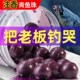 钓青鱼珠珠饵g黑坑蓝莓假饵缓沉颗粒沉水乌青饵料鲤鱼青鱼珠珠软