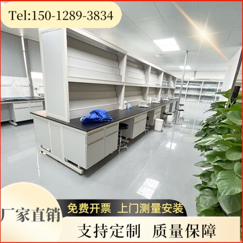 实验室工作台化学试验全钢边台中央边台L钢木操作台东莞深圳惠州