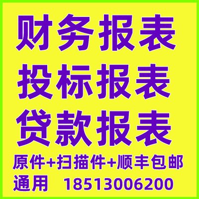 投标审计咨询财务报表年度银u行报表Exce制作四表一注表格模板包