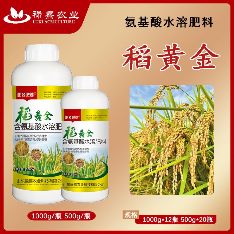 肥公肥婆稻黄金水稻控旺高产分蘖抗倒伏缩节籽粒饱满灌浆增产增收