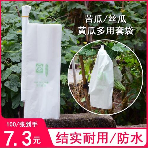 苦瓜丝瓜黄瓜套袋专用袋青瓜水果瓜果套果袋透明防虫袋塑料纸袋套