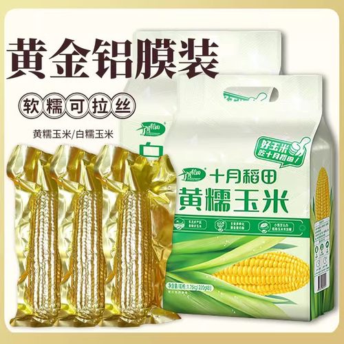 25年新玉米正品十月稻田黄糯玉米东北新鲜低脂软糯香甜拉丝真空包