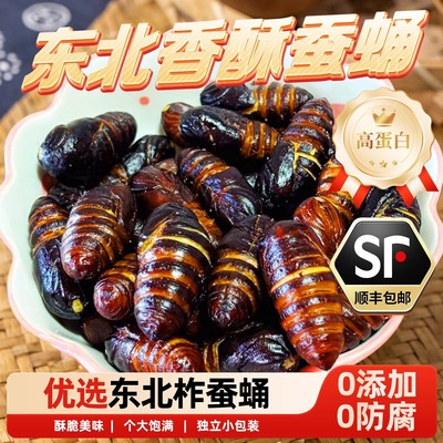 桥边德溢东北特产香酥蚕蛹开袋即食香辣味熟食零食品柞蝉蛹顺丰包