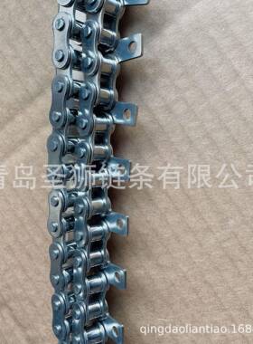 SUS04不锈钢06B08A08B130697A12A16A20AB立单侧直板送输送链带耳