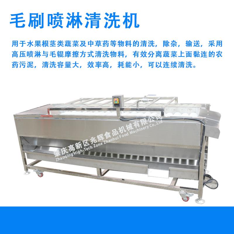 源头厂家直供毛刷淋柑淋橘清洗机器喷兆ZH-MP250辉牌毛喷果蔬清洗