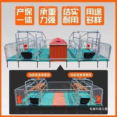 产老母猪母猪产床床殖一体分娩产备GSS保两用养设保育用床产床床