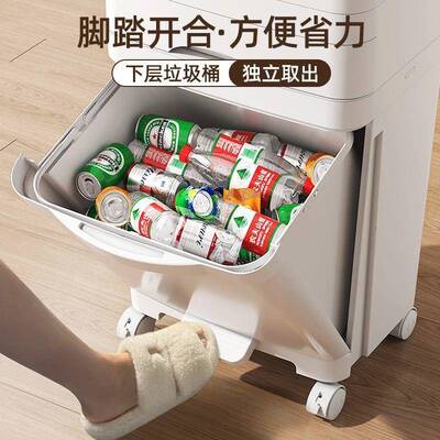 日房垃圾桶分家式用厨移动立式类收纳双层大号带ISP盖大容量干湿