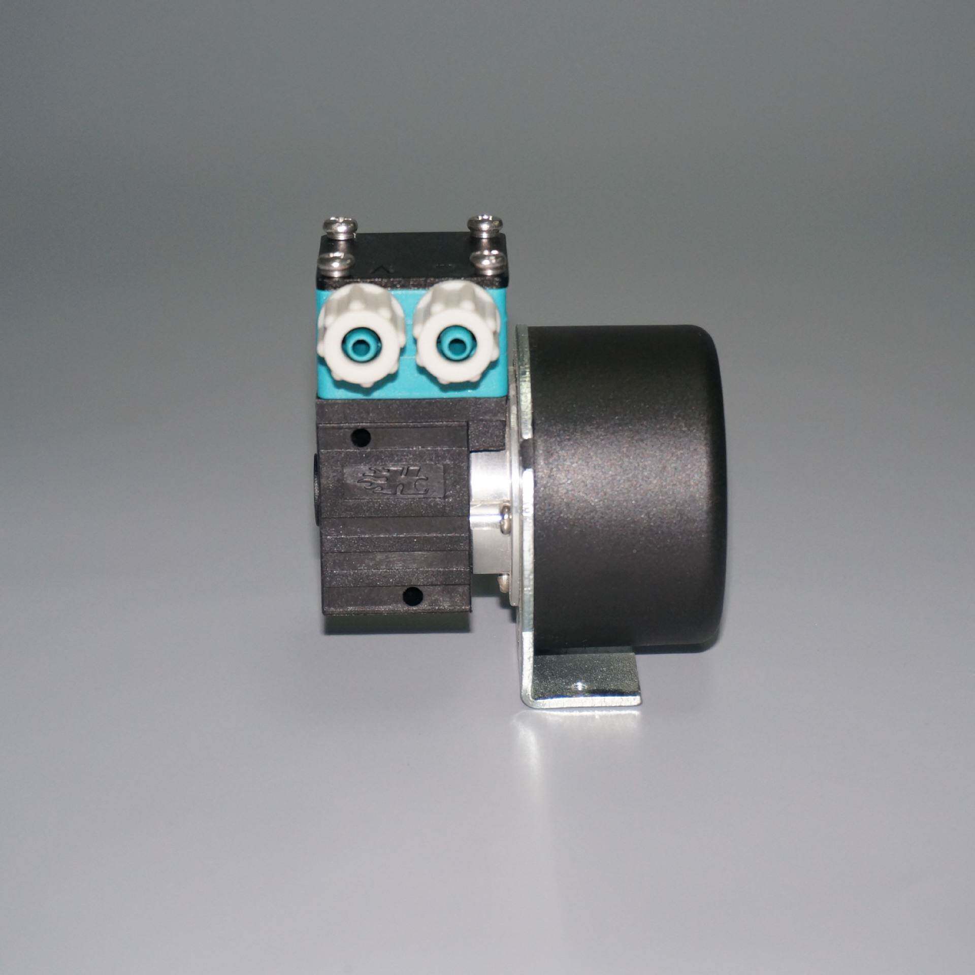 新品爆款型无刷微PM水泵电动无刷水泵直流自吸无刷PM泵RYE水泵