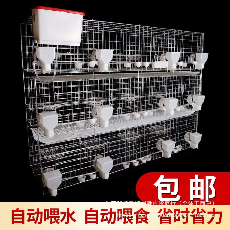 12位家用信鸽配对繁殖鸽笼