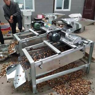电两相青茶籽油茶果剥干壳BND机全自动山茶籽皮脱机果坚果脱壳设
