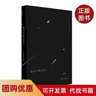 【正版书籍】我们不能活反了王小妮研究集隐匿的汉语之光中国当代诗人研究集张桃洲王东东华文出版社